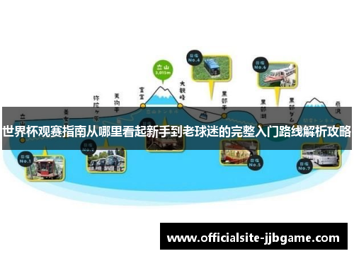 世界杯观赛指南从哪里看起新手到老球迷的完整入门路线解析攻略